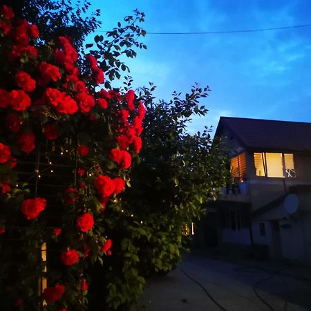 Cristalex Villaverde Bucharest Pantelimon Exterior photo
