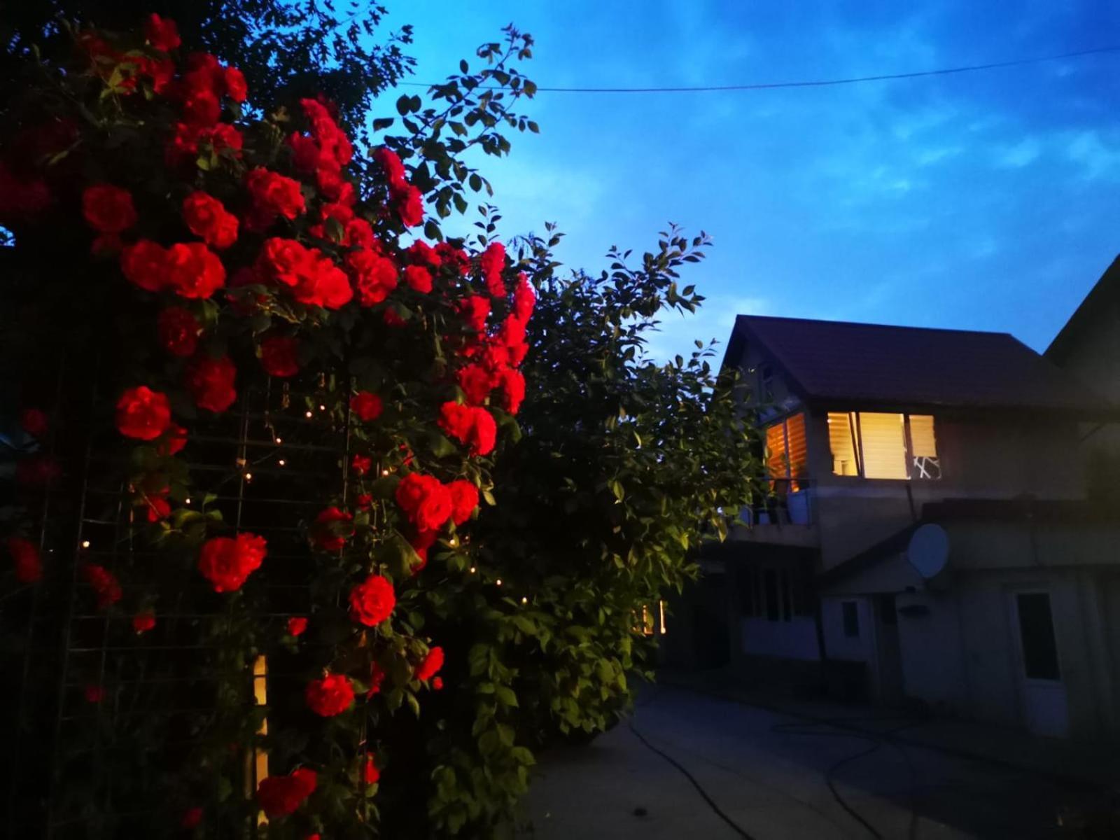 Cristalex Villaverde Bucharest Pantelimon Exterior photo