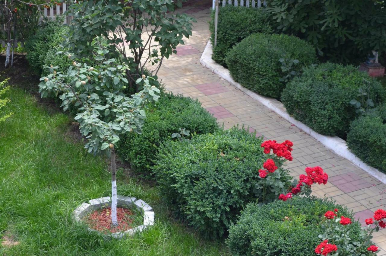 Cristalex Villaverde Bucharest Pantelimon Exterior photo